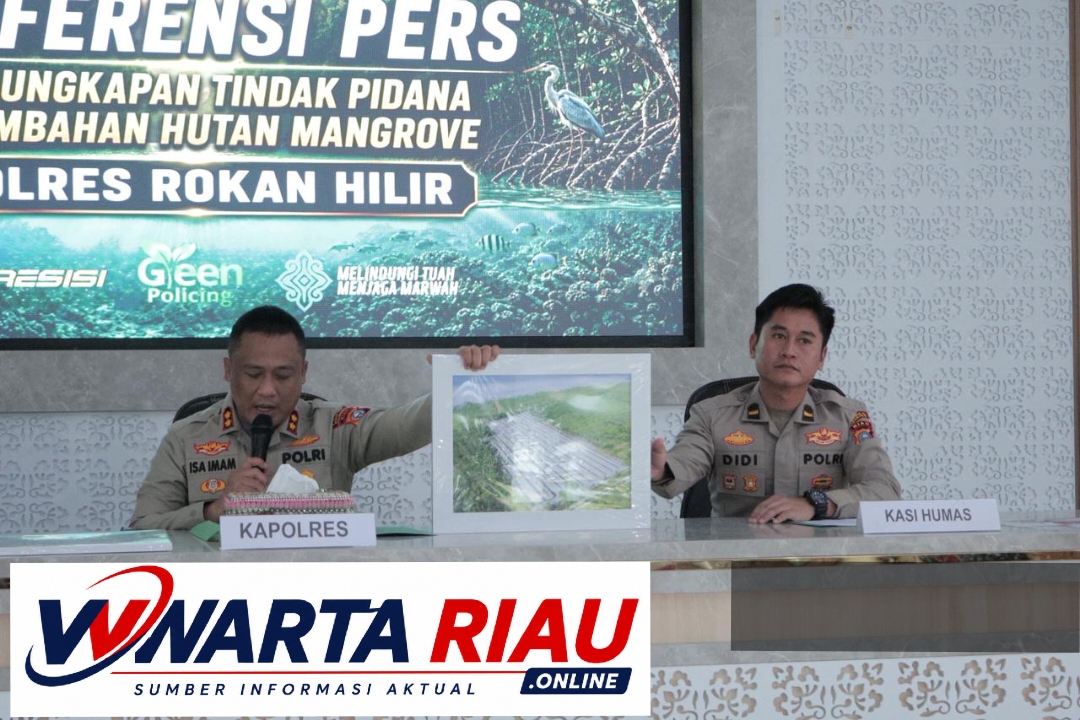 SATRESKRIM POLRES ROKAN HILIR UNGKAP KASUS PERAMBAHAN HUTAN DI KAWASAN HUTAN MANGROVE